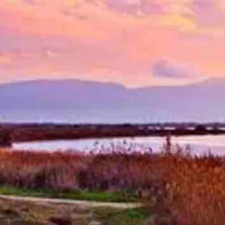 Ivissa Cosy Calme Y Confortable * Canet-en-Roussillon