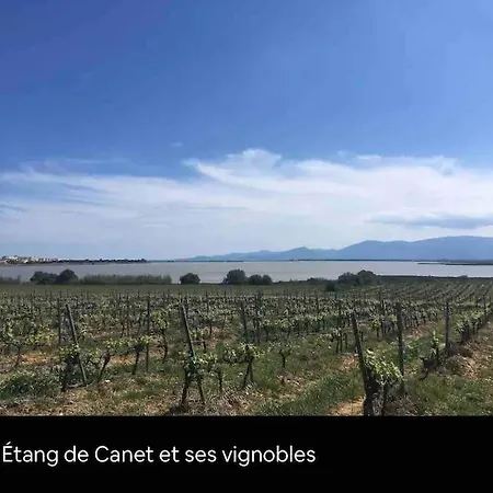 Ivissa Cosy Calme Y Confortable Canet-en-Roussillon